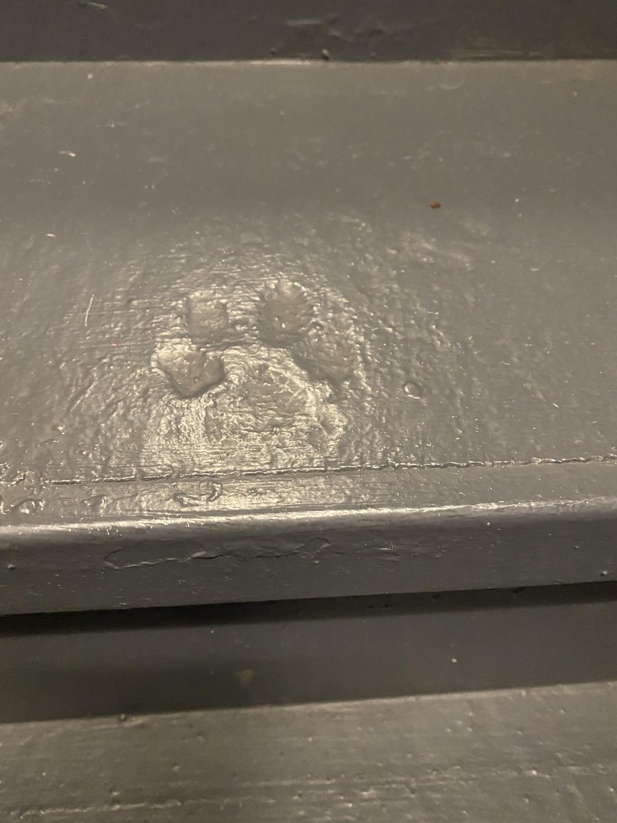azuredeezure's tweet photo. Here's another one of my favorite things about living in my building -- this phantom pup's paw print in the stairwell! #StonehengeNYC #StillStanding #Sponsored #LiveBetterHere https://t.co/ITXsOxMeFw