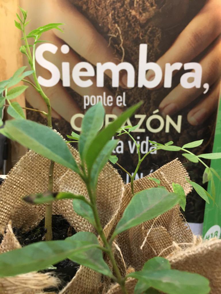 Corantioquia's tweet photo. #ConElCorazón 💚 participamos en #ExpoFinca 🏡 2021, espacio en el que compartimos cómo fortalecemos la reactivación económica en el sector agrícola. https://t.co/xLJDewSYuH
