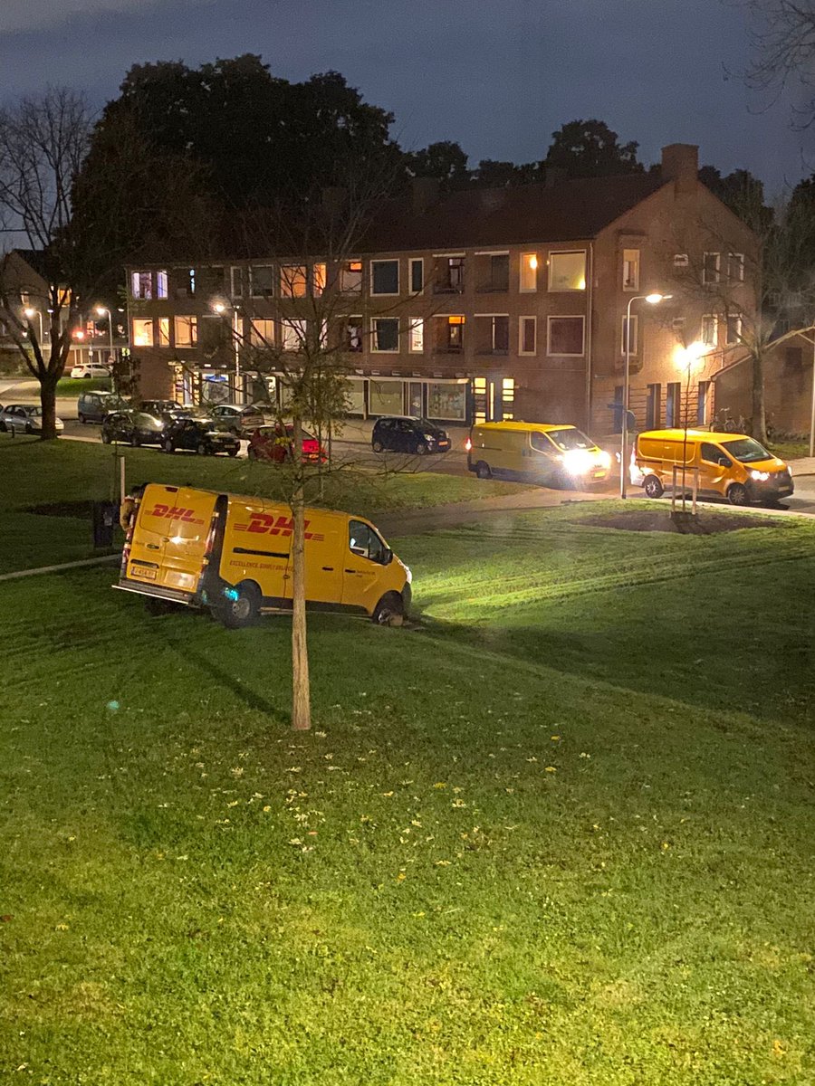 JuSeiDo's tweet photo. Beste @DHLNL @DHL_NLexpress dit is vermakelijk voor de buurt… maar wel erg zonde van het mooie berliozpark in Amersfoort https://t.co/igDDrpz94u