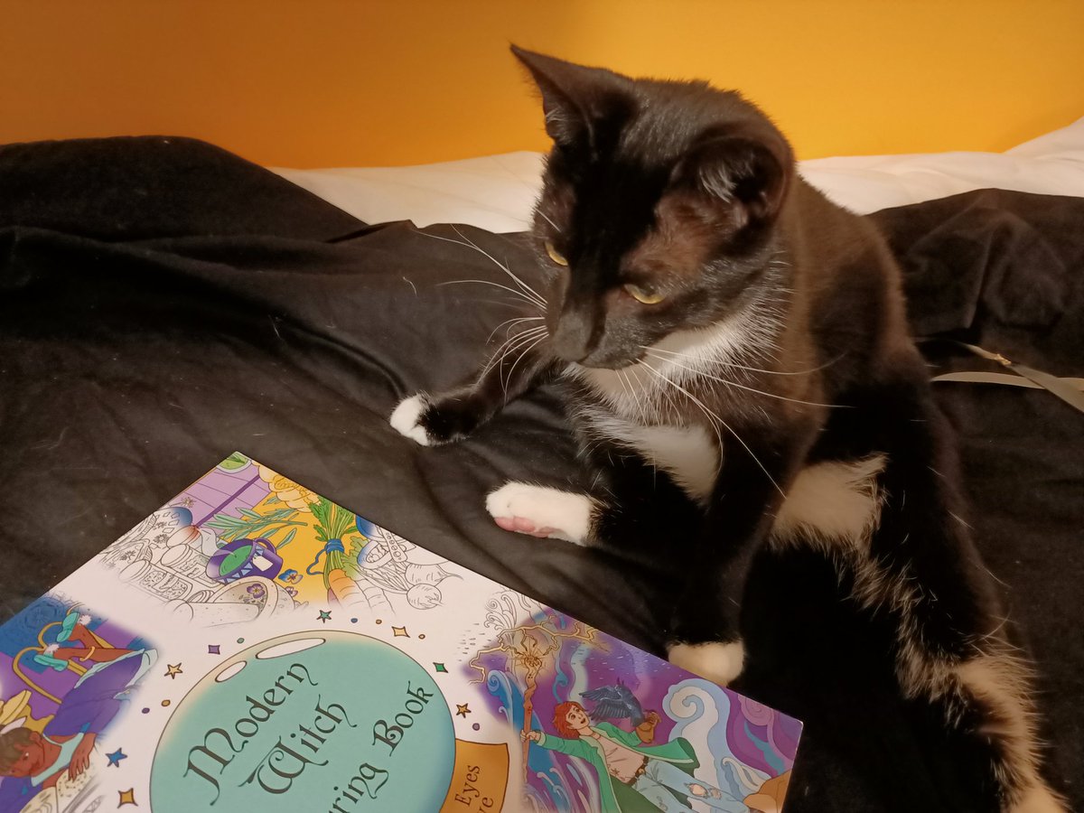 BBEcollective's tweet photo. Our Modern Witch Colouring Book - certified by cats ☑️ Now available on Etsy ✨

https://t.co/VA50k0g4md 

#witch #shopsmall #shopindie https://t.co/2kujEFpMAA