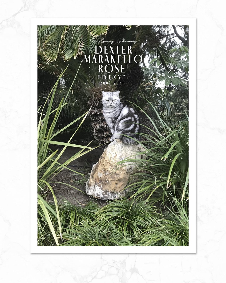 axlrose's tweet image. 