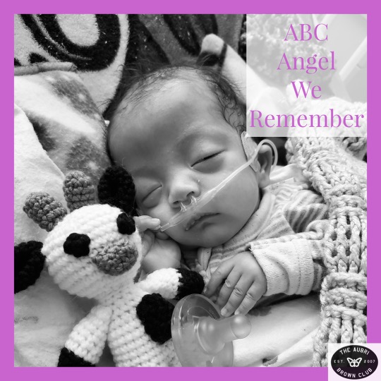 AubriBrownClub's tweet photo. Max Aaron 🦋
.
3/18/21 - 10/3/21
.
#werememberwednesday https://t.co/jOAOnra8vl