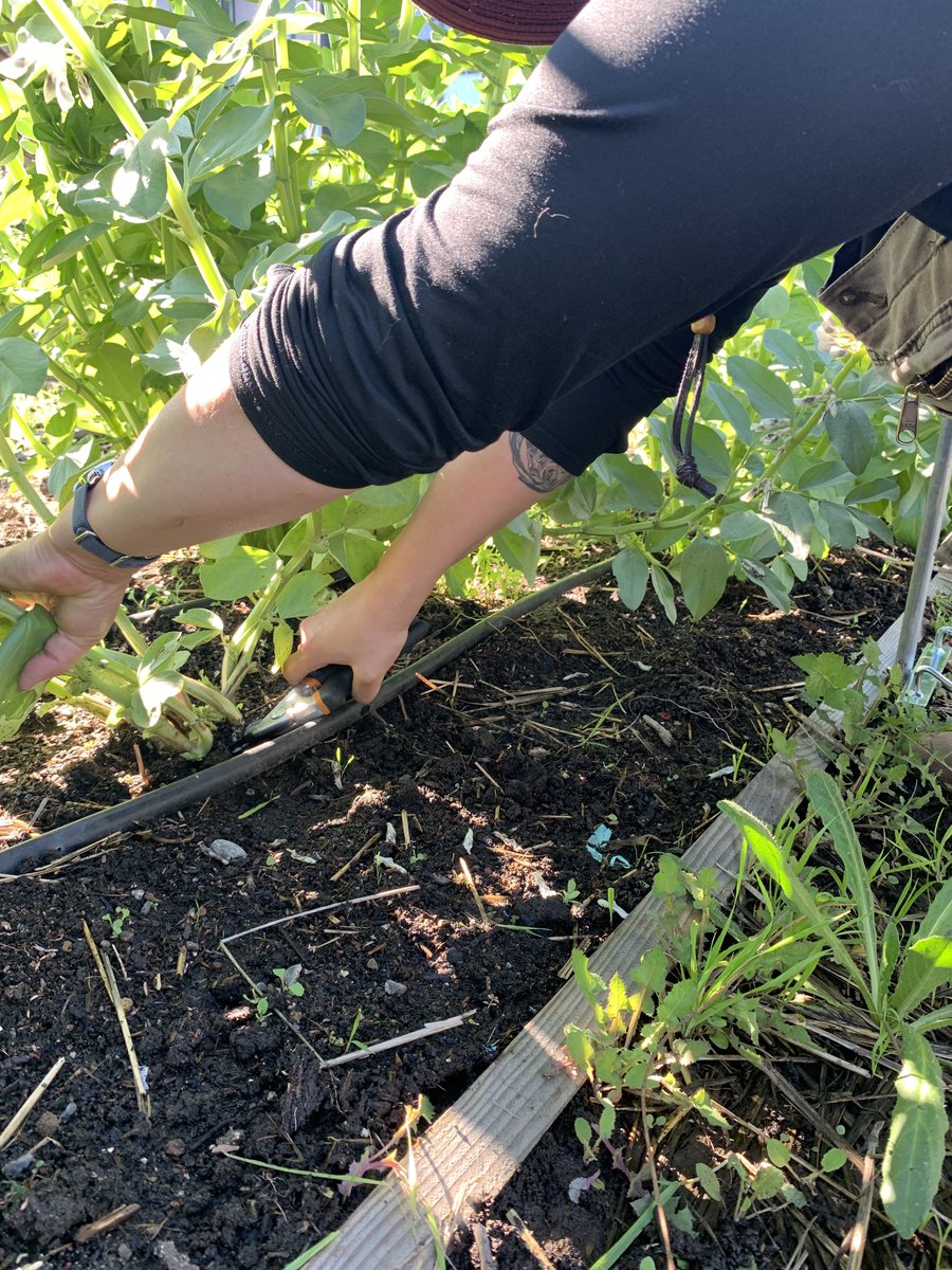 City Slicker Farms tweet media