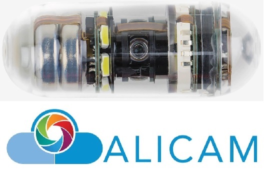 WhereWords's tweet photo. Veteran #naming for veterinarian #branding. As an alimentary diagnostic tool this tiny swallow-able camera all but eliminates endoscopies, #sowenamedit #Alicam. @InfinitiMedical #verbalbranding #corporateidentity #brandextensions #trademarks #veterinary #NewProducts #yeswenamedit https://t.co/PuH2OOeX5P