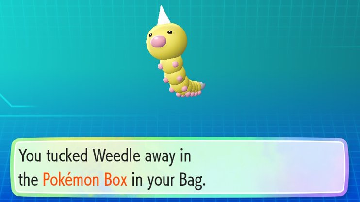 NightyGen's tweet photo. And then I went outside the forest and almost missed Shiny Weedle (had to turn back). That one was no CC and no lure, only charm. That was right after Caterpie, but I spend some time cleaning box so it was around 20 minutes later. 

#shiny #shinypokemon #letsgoeevee https://t.co/RHPh8WmIcf
