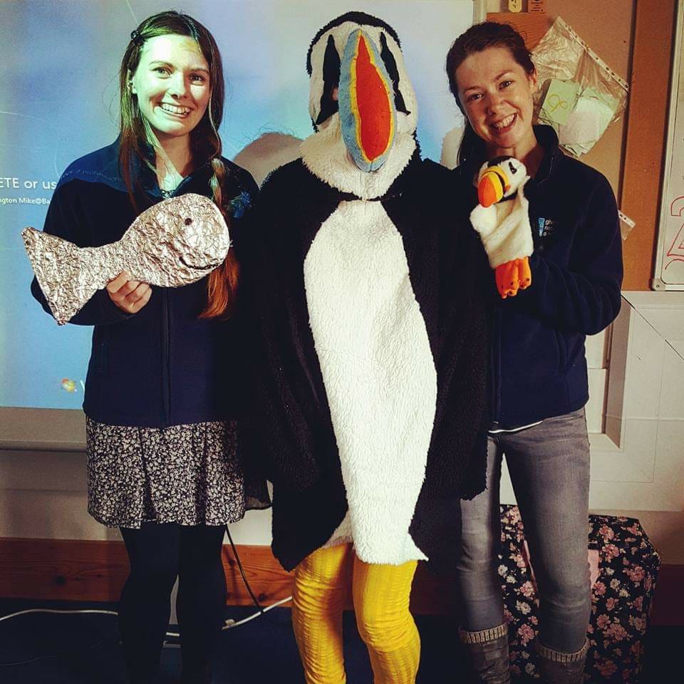 Small88's tweet image. What a team! Although we didn't win the category, still MASSIVELY proud of our team of Puffineers 😁🥳 🐧🐟📸
#ProjectPuffinUK #Puffarazzi #teampuffin #onceapuffineeralwaysapuffineer 
#natureofscotlandawards2021