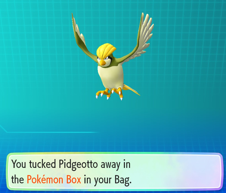 NightyGen's tweet photo. And to end the day I went on trip to Celadon (not by "fly", but "on foot" - for this game that meaning is different xD). And less than 5 minutes later stumbled upon Shiny Pidgeotto, again no CC, no lure. And that was my crazy yesterday.

#shiny #shinypokemon #letsgoeevee https://t.co/34A7XPaioy