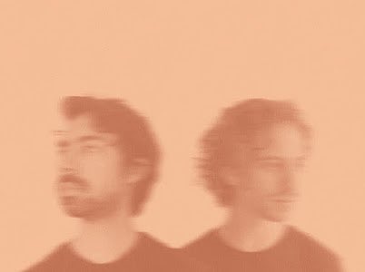 Hello Seahorse! tweet media