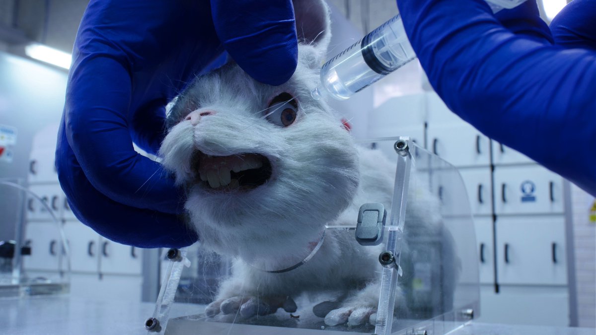 humaneworldnews's tweet photo. The South African govt still allows cosmetic testing on animals, where chemicals are forced down their throats, dripped into their eyes & smeared on their skin before being killed.
This has to STOP!🚫 Urge South Africa to ban cosmetic animal testing NOW: https://t.co/lbFw7LCmsr https://t.co/J0DtKovttC