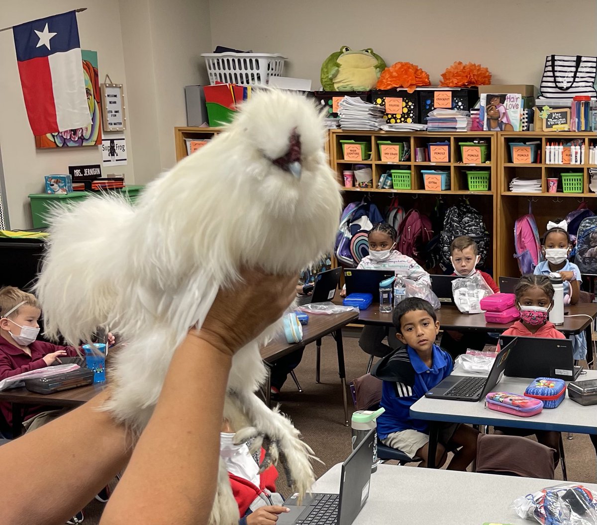 Poni3kj's tweet photo. DCEKBears loving CKLA. Today we learned about chickens. So…I brought Too Cute the Roo to visit. #DCEKBearsfun https://t.co/hiwrT3sPw8