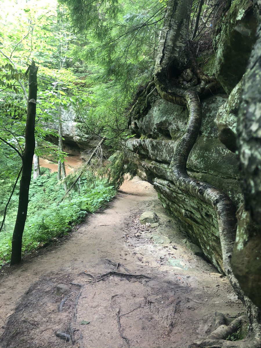 SueYantko's tweet photo. To witness a million miracles. @SteveYantko #nationaltakeahikeday @ALDHAWest #aldha @AmericanHiking https://t.co/WqEIxb4FlK