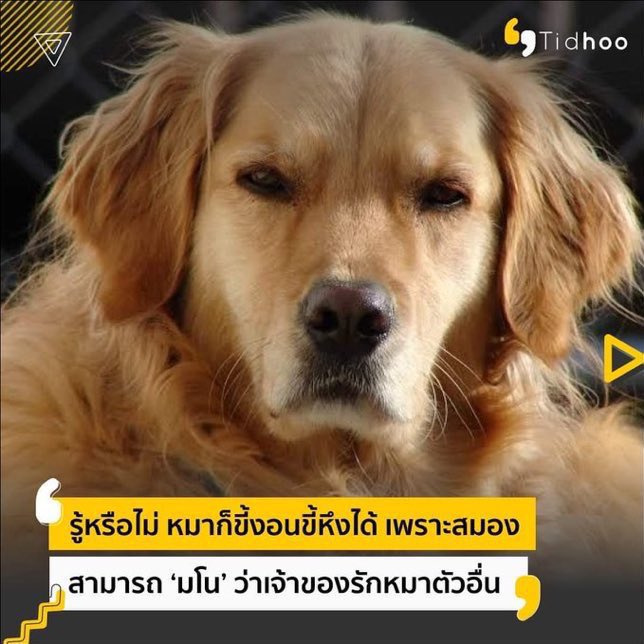 PERl§H 🐱 tweet media