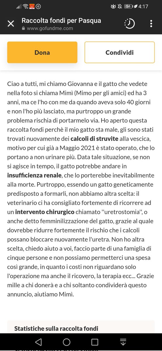 s3rotonin4's tweet image. aiutatemi a diffondere questa raccolta, oppure donate, fate qualcosa, vorrei poter fare di più. ((grazie in anticipo♥️)) 
conosco questo gattino da quando era piccino e non so quante ne ha passate, spero che questa sia l'ultima. 

gofund.me/0fdfa7db