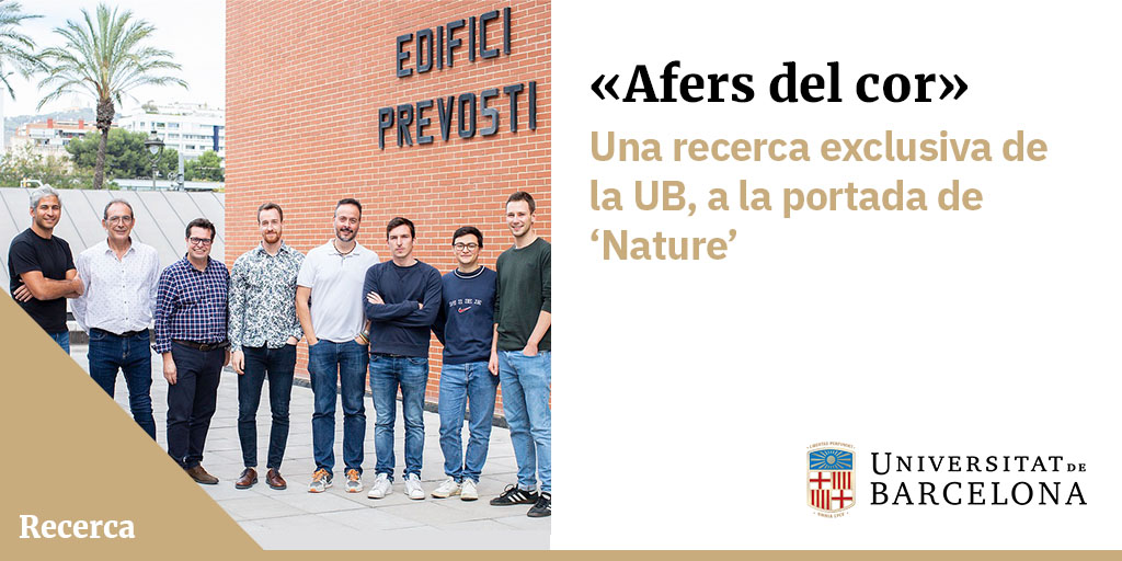 Universitat de Barcelona (@unibarcelona) on Twitter photo #RecercaUB | «Afers del cor», una recerca del Grup <a href="/evodevogenomeUB/">CañestroLab EvoDevoGenomeUB GeneLoss🫀Heart🌊Ocean</a>, portada a <a href="/Nature/">nature</a>.
El treball desxifra un enigma encara sense resoldre sobre la transició entre estils de vida lliure i sedentària en avantpassats del nostre fílum: els cordats.
👉 bit.ly/3Cr2ptU
🧵 #RecercaUB | «Afers del cor», una recerca del Grup <a href="/evodevogenomeUB/">CañestroLab EvoDevoGenomeUB GeneLoss🫀Heart🌊Ocean</a>, portada a <a href="/Nature/">nature</a>.
El treball desxifra un enigma encara sense resoldre sobre la transició entre estils de vida lliure i sedentària en avantpassats del nostre fílum: els cordats.
👉 bit.ly/3Cr2ptU
🧵