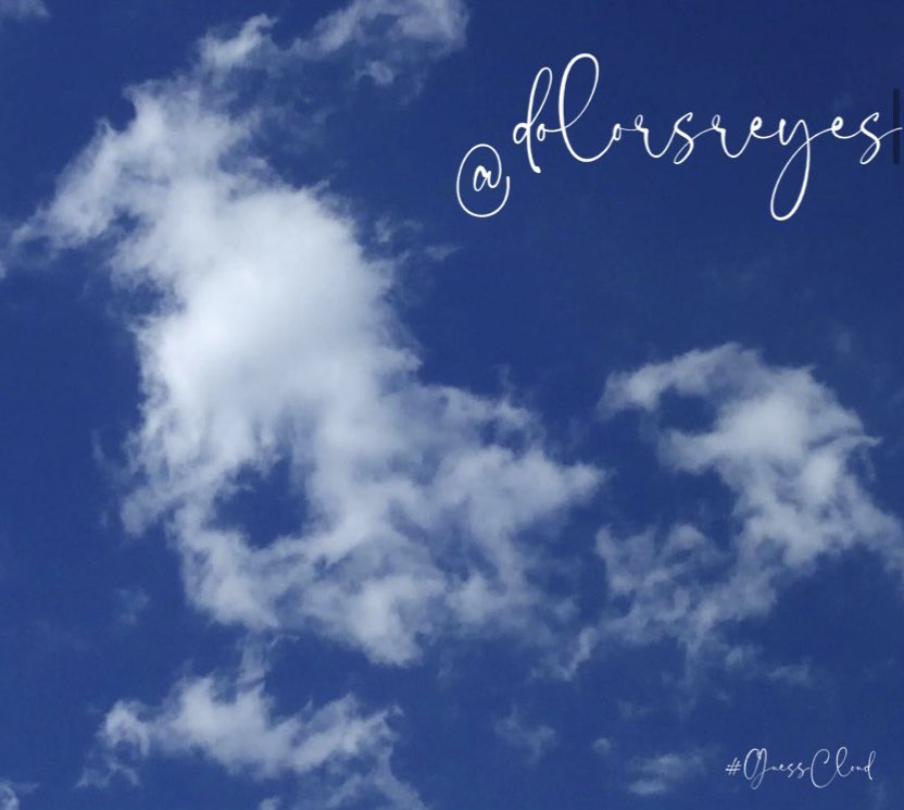 GuessCloud_'s tweet photo. It would be a boring world if there were no guessclouds ๐
โค๏ธ๐๐ผ #wednesdaythought #GuessCloud โ
๏ธ https://t.co/y7h8j86RJW