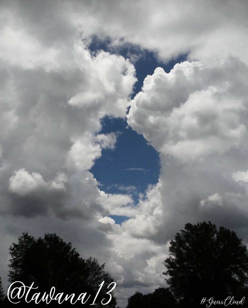 GuessCloud_'s tweet photo. It would be a boring world if there were no guessclouds ๐
โค๏ธ๐๐ผ #wednesdaythought #GuessCloud โ
๏ธ https://t.co/y7h8j86RJW
