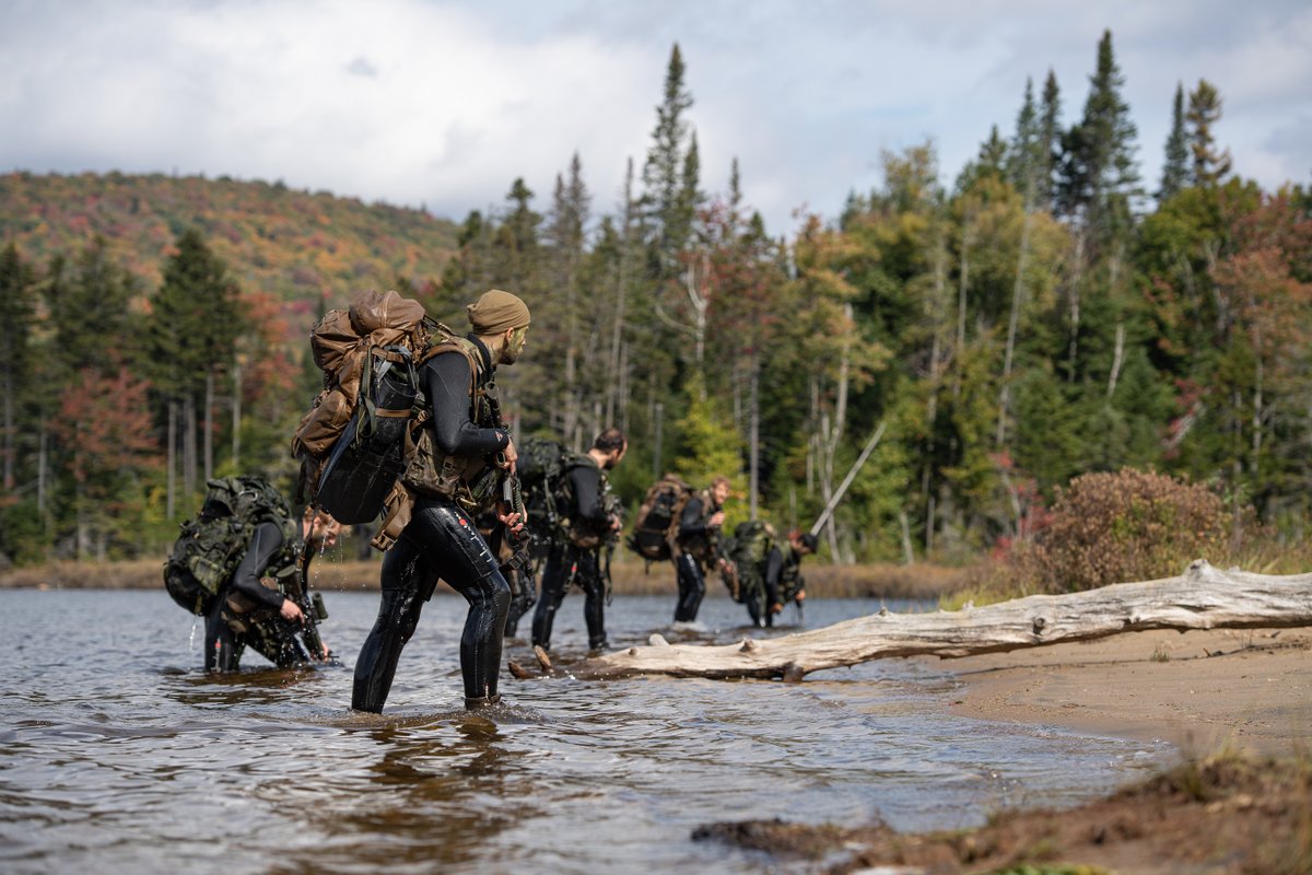 Christopher Robin, Sergeant Major/Sergent-major tweet media