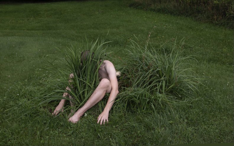 ben_zank's tweet photo. Somewhere I can grow https://t.co/HLl0sGKflv