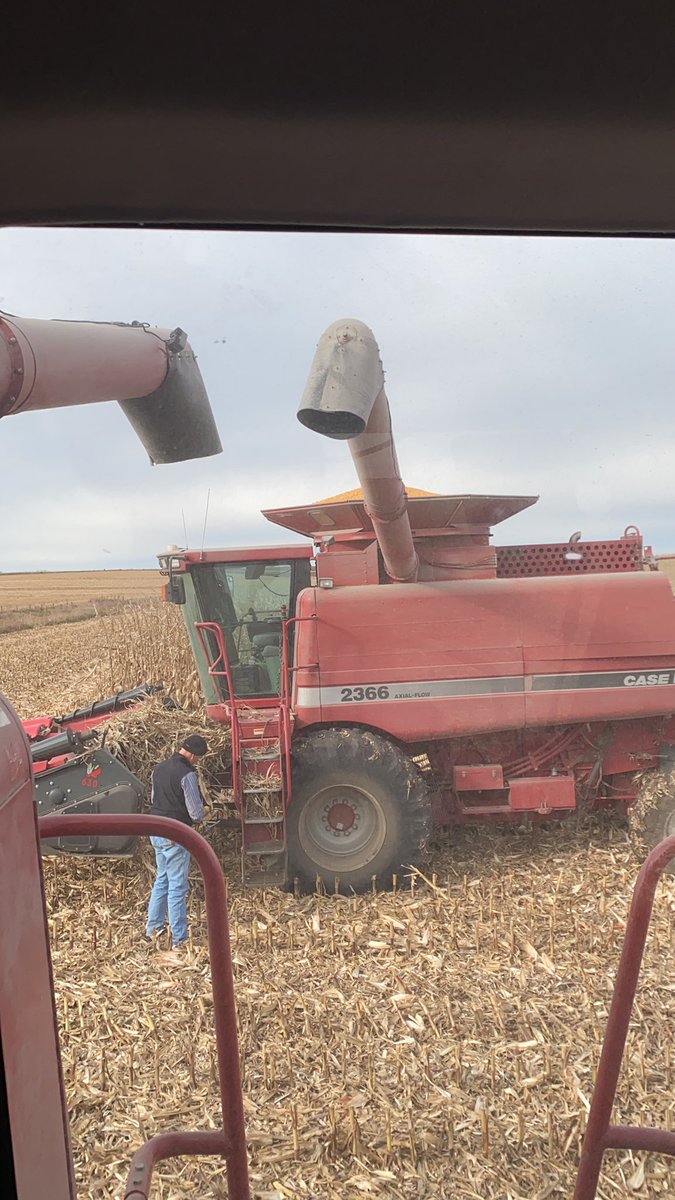bradysmith's tweet photo. Hard for carts to keep up. Good problem. #goodcorn #Harvest2021 #lightatendoftunnel #waitingoncarts https://t.co/jhkqIacLRl