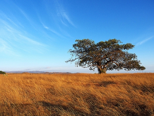 Yannick Garcia tweet media