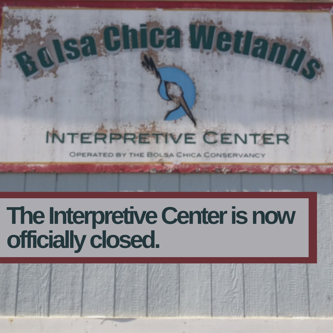 22 x 14 x 9 inches bolsa