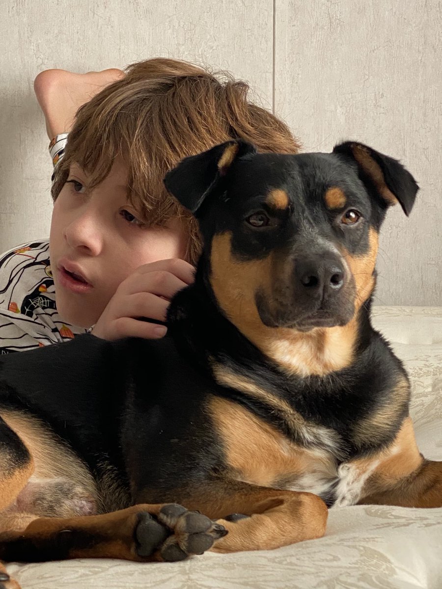 Just a boy, in his comfy pjs, and his doggie. #autism house