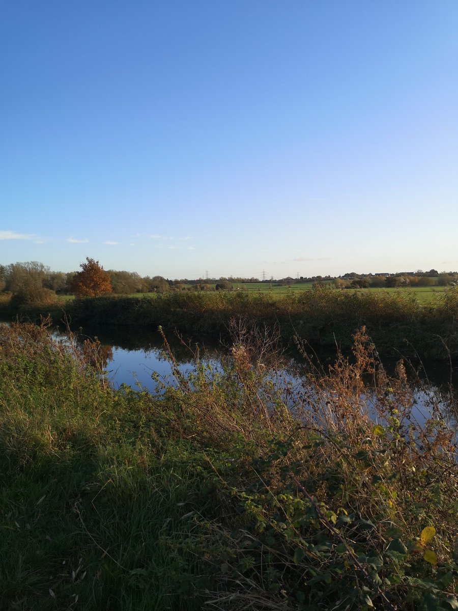 We have the best ideas when we can get outside in the fresh air for a walking meeting. Notes recorded on our phone. Thank you for the idea <a href="/CiaraMBMoore/">Ciara Moore</a> Why don't we make time for this more often. <a href="/ActiveEssex/">ActiveEssex</a> <a href="/SarahVLennox/">Sarah Lennox</a>