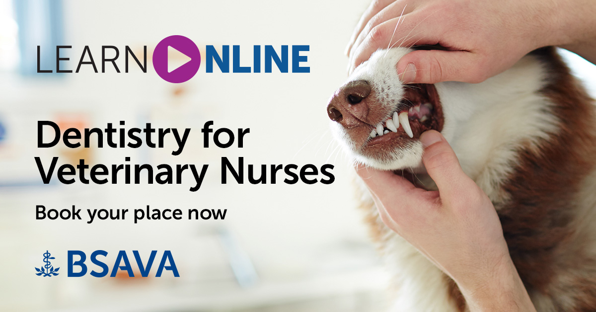 BSAVA tweet media