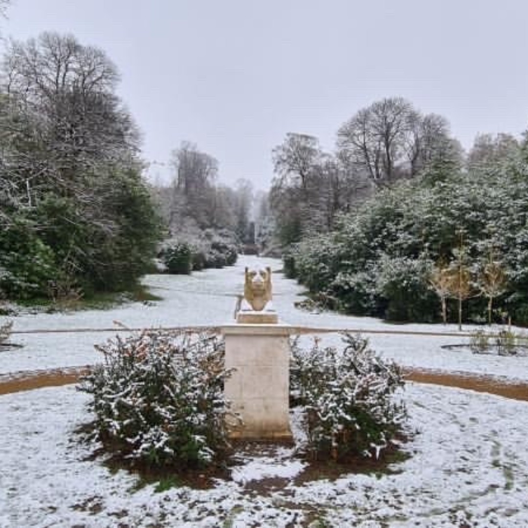 DeepdeneTrail's tweet photo. Who's excited for Christmas and the snowy scenes at #TheDeepdeneTrail!!
📸 - kimiuk01
#Dorking #MoleValley #Deepdene #Winter https://t.co/OMDn5STuMJ