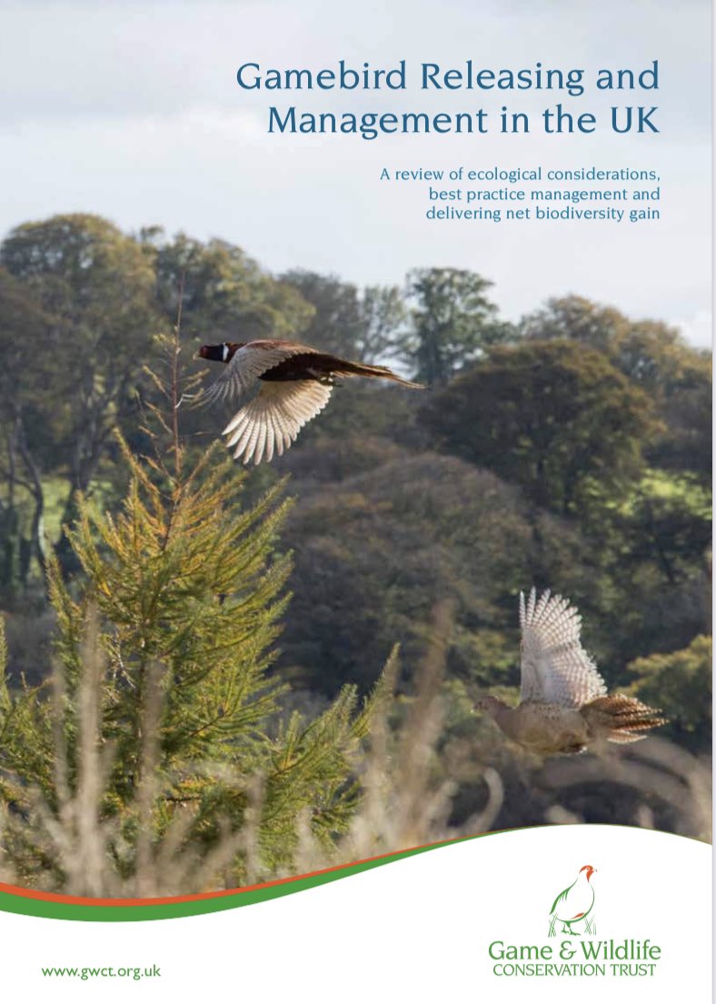 keeperschoice's tweet photo. The @Gameandwildlife have released a landmark report on the impact of Gamebird Releasing and Management in the U.K. 👍

A long read, but a very worthwhile read for everybody in the sector. 👇👇

https://t.co/CfgrRzSb0X https://t.co/wWhi6tu5av