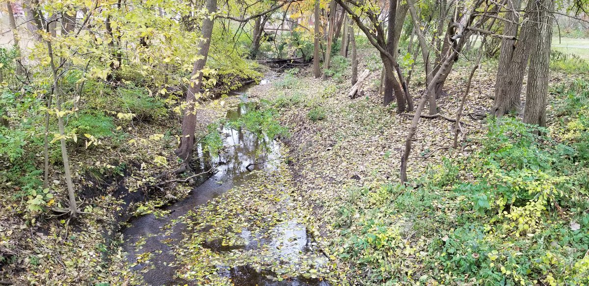 I observed #NationalTakeAHikeDay with a hike along Constitution Trail and <a href="/NormalILL/">Town of Normal</a> Hidden Creek Nature Sanctuary.
