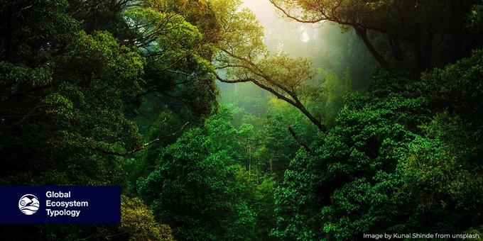 IUCN's tweet photo. The first-ever global catalogue of ecosystems will enable coordinated #conservation efforts. 

Learn more about IUCN's Global Typology of Ecosystems https://t.co/yWtvQ3Nubk @IUCN_CEM https://t.co/6PRLmIerwO
