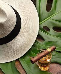 elbaporcuba's tweet photo. En Isla de la Juventud las primeras 10 hectáreas de tabaco para capas exportables de la actual campaña ya fueron sembradas. Comenzó Pedro Caboverde Mora, pero se sumaran más vegueros  hasta los 60 que hicieron contratos. https://t.co/6VyOgGRac8