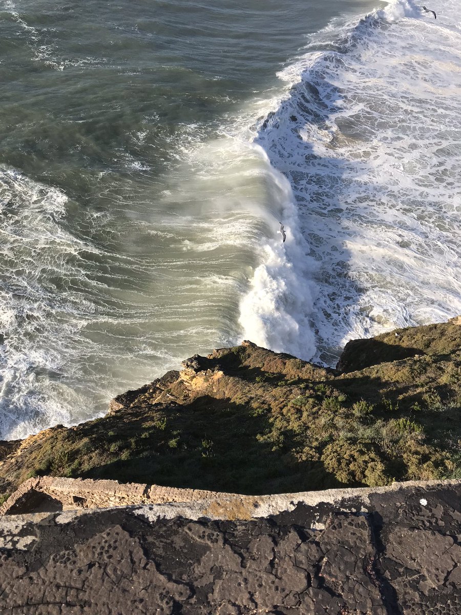 golfguidehq's tweet photo. @HartfordGolfC @BumbleCricket @visitportonorth @visitportugal @TurismodeLisboa @CamaraLisboa @leadingcourses @LisbonHSGolf @tapairportugal @englandcricket @FraserDainton @AdeCunliffeSPF Today weβve moved on full #Tourist #Nazare #PraiadoNorte #100ftwave https://t.co/kCXkJYp67P