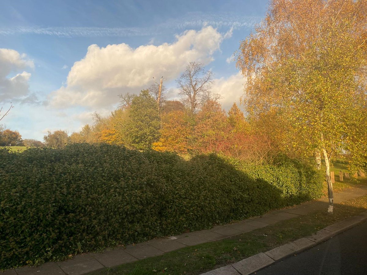MPSBarnhill's tweet photo. Officers from @MPSBarnhill and @MPSKentonQK on joint patrol as part of Operation Scepter, conducting weapon sweeps and targeting robbery hotspots. #2440NW #OpSceptre #knifecrime #SNT #metpolice https://t.co/he1IeosCyV