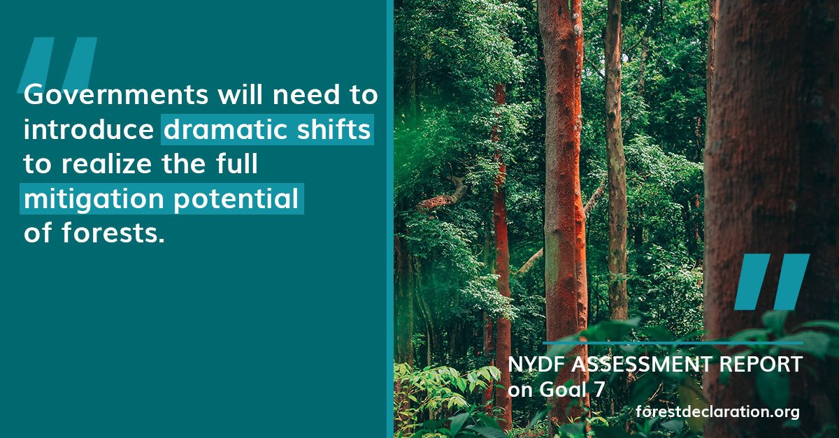 Forest_Assess's tweet photo. Forests are an opportunity for climate change mitigation that countries cannot afford to miss.

The Glasgow Leaders' Declaration now has 141 countries pledging to end deforestation by 2030. But governments will need to to radically shift gears to meet this target.

#COP26 https://t.co/lSFpF7quJm