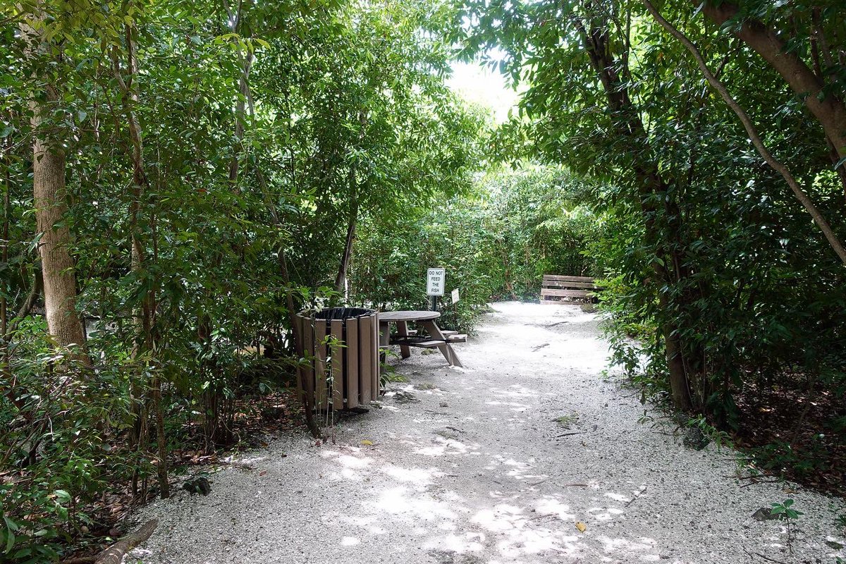 miamiparks's tweet photo. Did you know today is #NationalTakeAHikeDay? There are so many advantages to being outdoors and going for a hike. #MiamiParks has 2 popular trials: Simpson Park & Virginia Key. Have you ever hiked at #SimpsonPark? #MiamiParks #NRPA #HikeYourTurf @NRPA_news #Miami https://t.co/Rxob1jBWwh