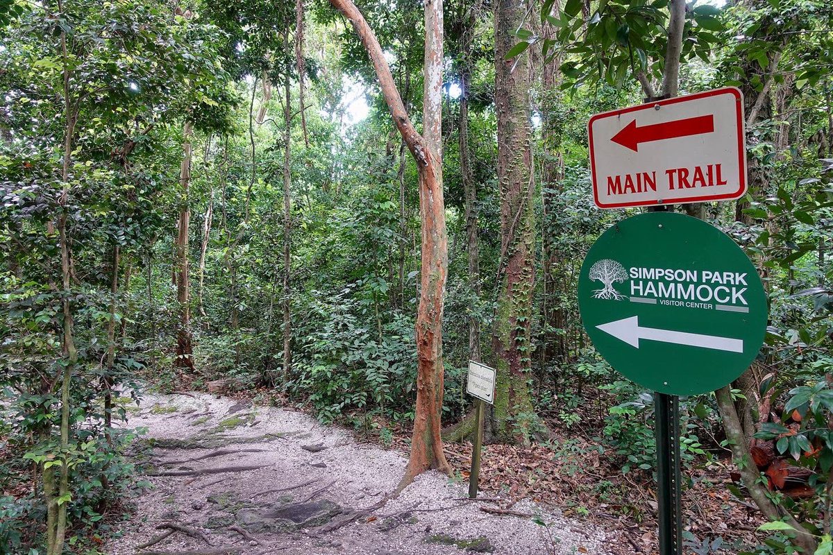 miamiparks's tweet photo. Did you know today is #NationalTakeAHikeDay? There are so many advantages to being outdoors and going for a hike. #MiamiParks has 2 popular trials: Simpson Park & Virginia Key. Have you ever hiked at #SimpsonPark? #MiamiParks #NRPA #HikeYourTurf @NRPA_news #Miami https://t.co/Rxob1jBWwh