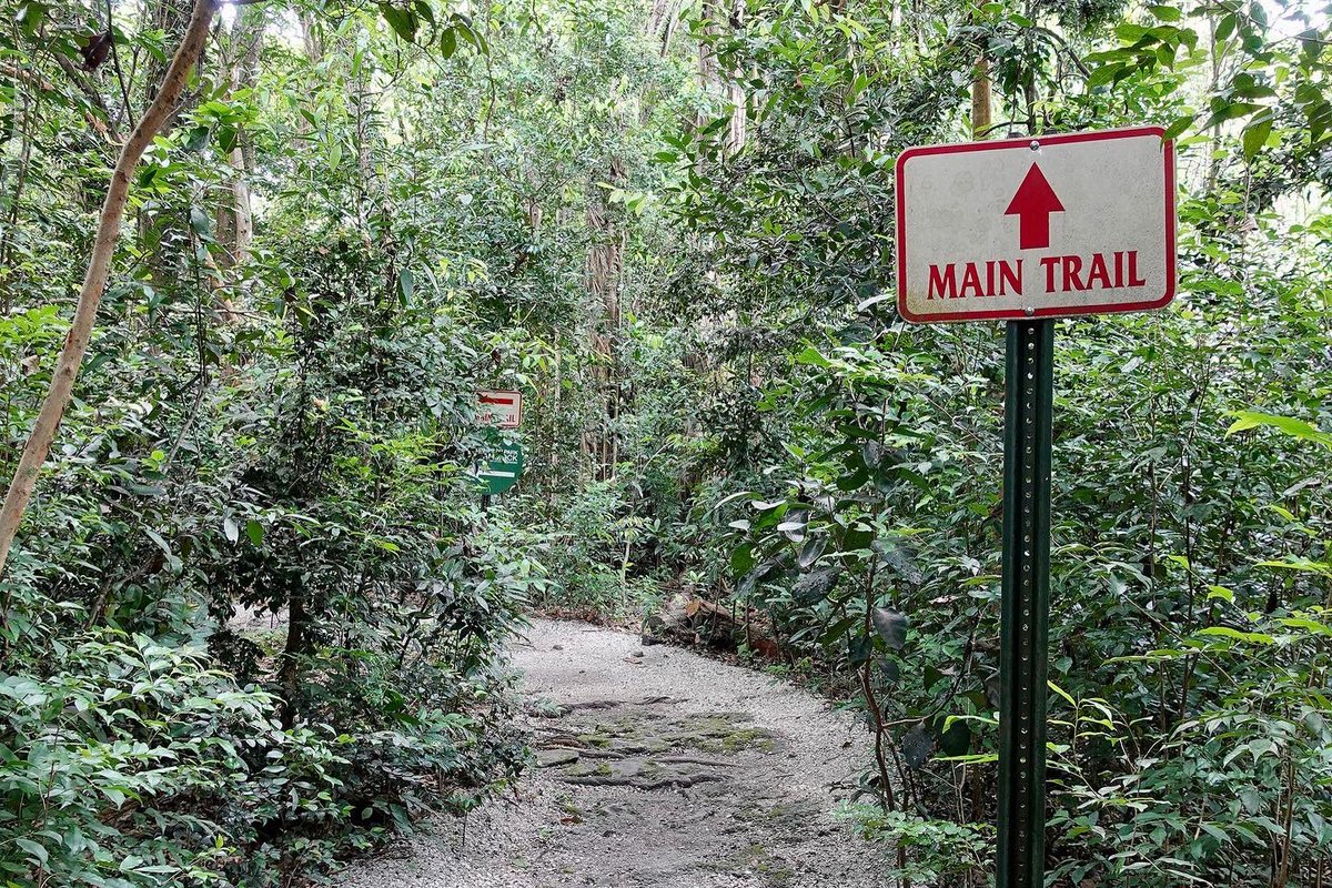 miamiparks's tweet photo. Did you know today is #NationalTakeAHikeDay? There are so many advantages to being outdoors and going for a hike. #MiamiParks has 2 popular trials: Simpson Park & Virginia Key. Have you ever hiked at #SimpsonPark? #MiamiParks #NRPA #HikeYourTurf @NRPA_news #Miami https://t.co/Rxob1jBWwh