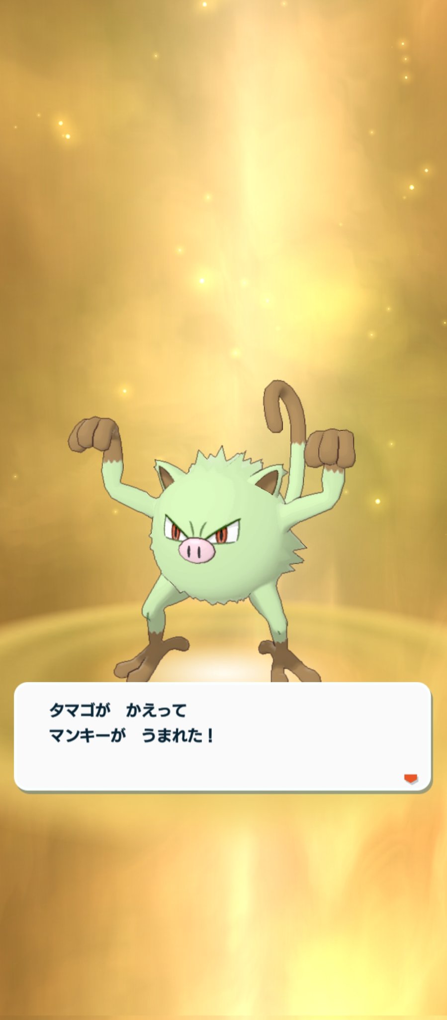 تويتر ｏ ｒ 鍵っ子 ゲーマー Sdbh ハオウ على تويتر ポケモンマスターズex ポケマスex マンキー オコリザル タマゴ 色違い タマゴから色違いのマンキー生まれました オコリザルに進化もさせました 久し振りに色違い獲得した気がする