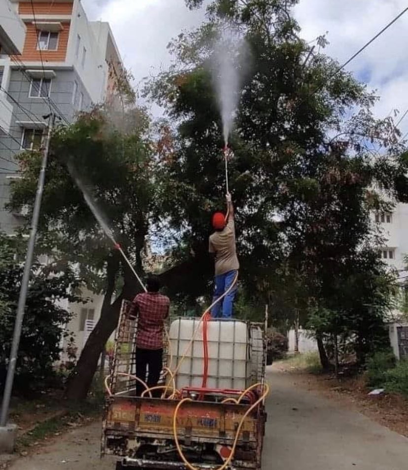 Hyderabad_Human's tweet photo. #SaveNeemTrees
.
It is observed that many neem trees in the state are dying out due to “Dir Black” disease. We request you’ll to please save neem trees in your locality. Pls call @GHMCOnline No.040-21111111
@HiHyderabad @swachhhyd @DonitaJose @sowmya_sangam @sselvan @KanizaGarari https://t.co/xAeCqX6evC