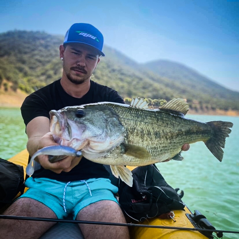 LiquidMayhem_'s tweet photo. Mayhem Thrust Swim Minnow @ work π€πΌ
πΈ @MateoRuiz
Show us your #MayhemCatch
#NoFishCanResist #LiquidMayhem
#MayhemBaitCo #OutFishEveryone #basstour #bassfishingtour #bucketmouth #largie #largemouth #largemouthbass #greenbak #grosshog #fishing https://t.co/Uez7iJQm3r