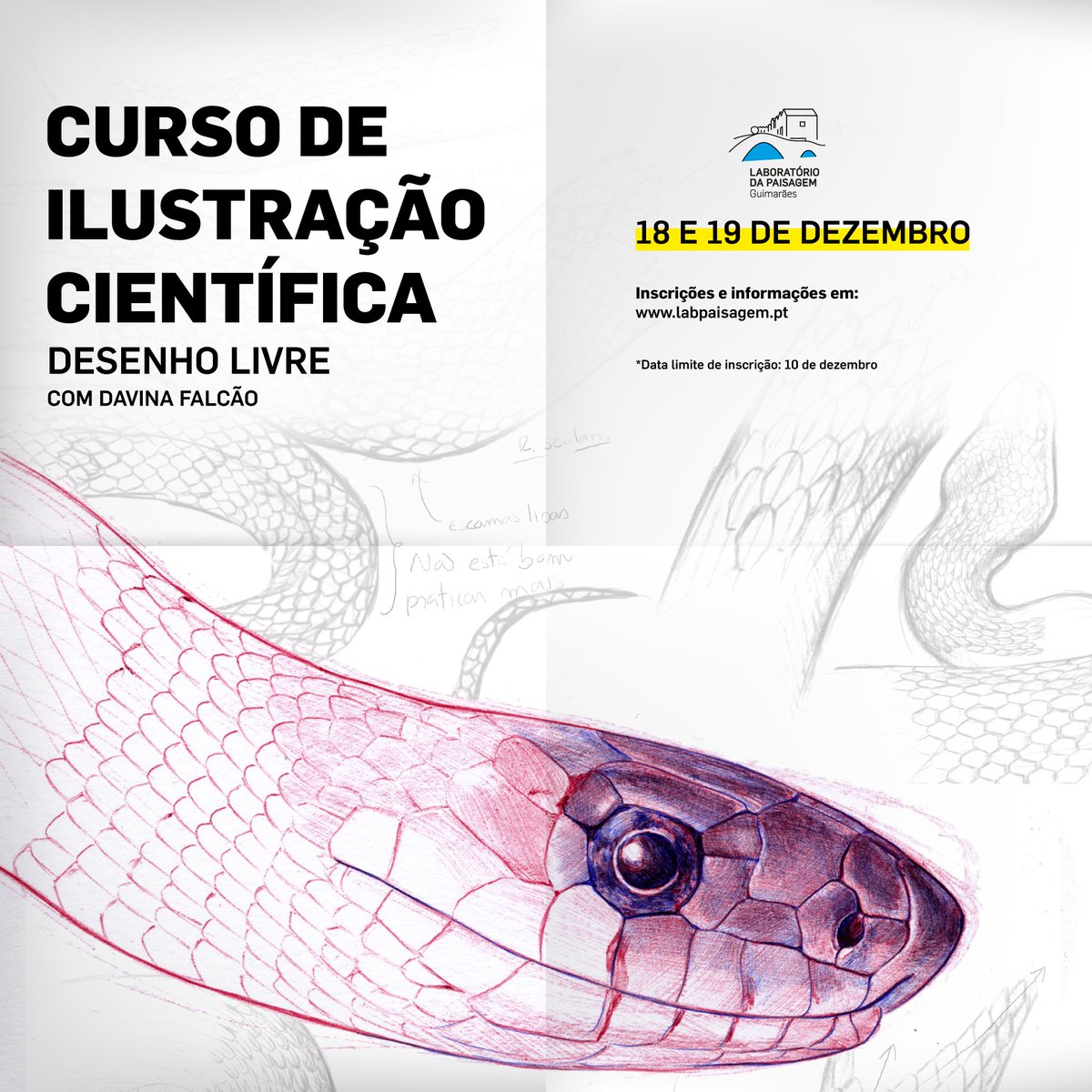 Curso de Ilustração Científica – Desenho livre https://t.co/8TYzCtYGDH, image size:1200x1200