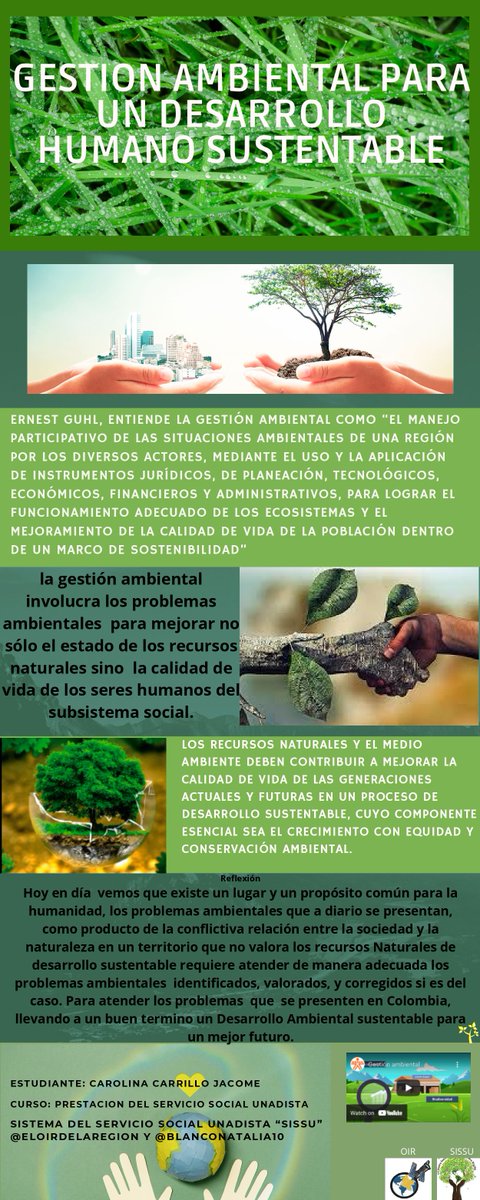carolina carrillo jacome tweet media