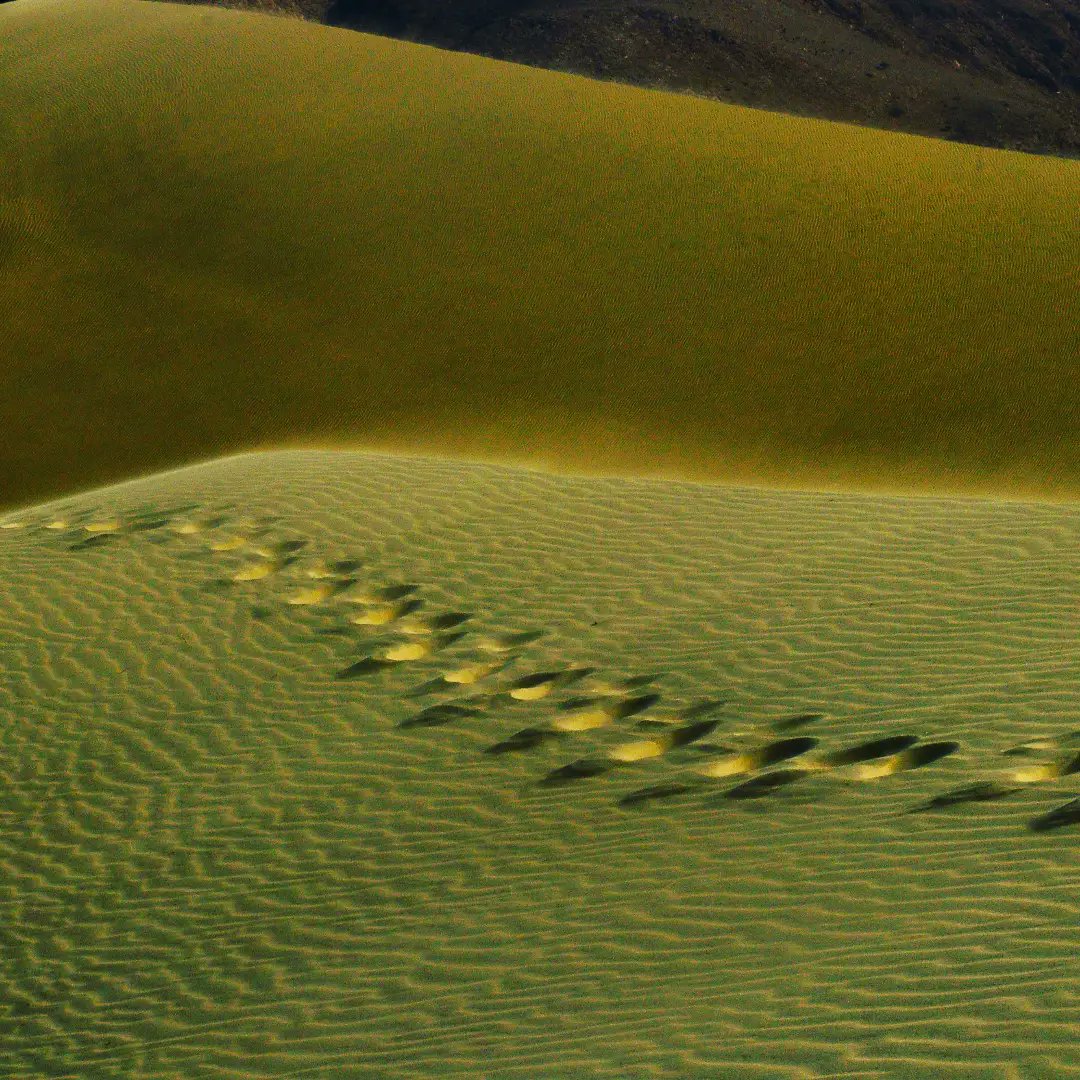 MasnadTours's tweet photo. Ceel Gerdi is a tourist destination in the Sahil region east of Berbera, a place of natural beauty in many parts. Most of the time, the Sea, hills and beach are overlapping.
#masnad #tours #justjoinus #seashel #CeelGerdi #Berbera #Seatour #Sahil #Somaliland #Somalipeninsula https://t.co/I4ee9FfpJa