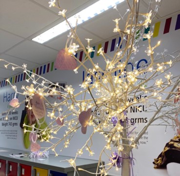 MFT_SaintMarys's tweet photo. 💜 It's been a lovely day in NICU celebrating #WorldPrematurityDay2021 at #SaintMarys it was touching to see our NICU families writing notes to their #tinyandmighty little ones and hanging them on our tree. https://t.co/SQTInP26Xu