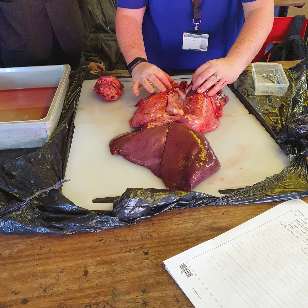 knowles_science's tweet photo. Fantastic lesson on the respiratory system today. Kids absolutely loved this and not a single one had to leave feeling queasy! Massive thanks to @chrisHbutcher for the lung pluck!!! https://t.co/4jRvKKYUsl