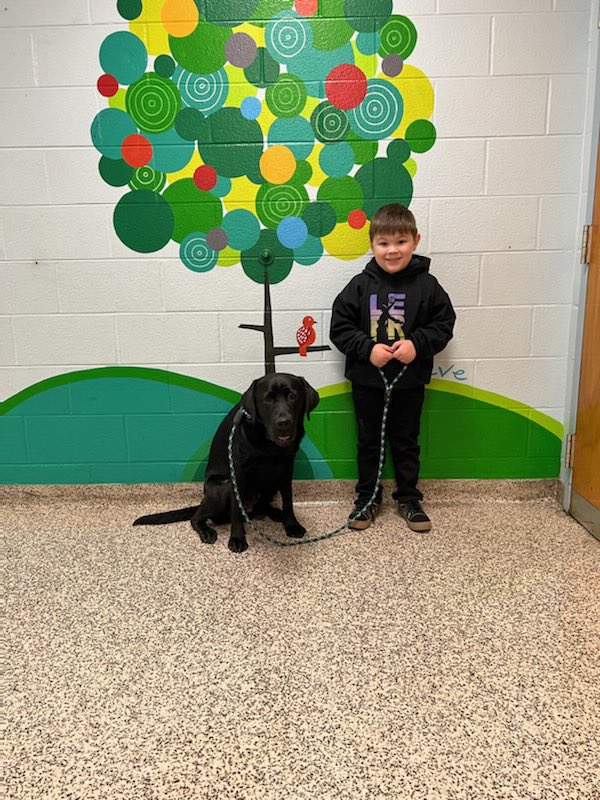 Mister_Diggle's tweet photo. One of my little humans today in kindergarten earned 10 panther paws to have a walk with me!! It was so fun and look how happy he is!! @circletail #pantherpride #olediggle #facilitydog #workingdog #ilovemyjob https://t.co/lFzE8Az32J