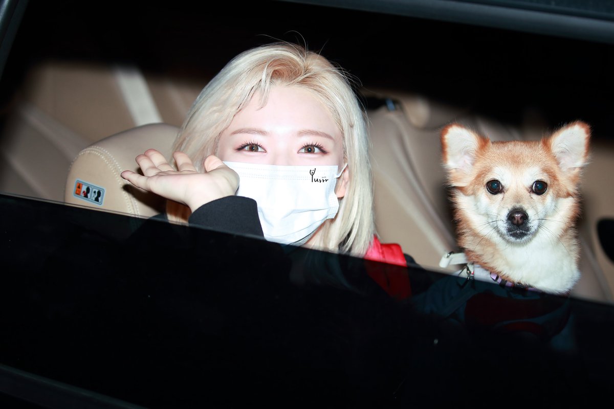 YuLife96's tweet photo. 211116
I’ll be fine!😇
-선인장 (CACTUS) 🌵
TWICE
#TWICE  #트와이스  #정연 #JEONGYEON #ジョンヨン https://t.co/ZfSSnBwpyz