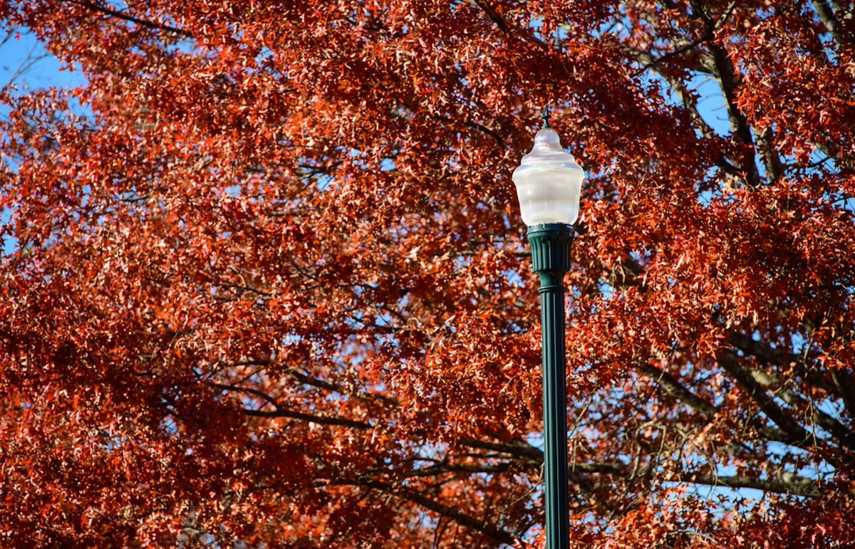 UMStudyUSA's tweet photo. Fall on campus 🍂 
#OleMiss #UMOutreach https://t.co/ySipEJB6tF